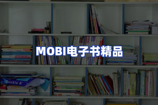 外文电子书产品